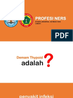 Demam Typoid