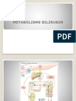 METABOLISME BILIRUBIN Ey