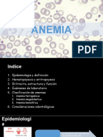 Anemia: causas, clasificación y consideraciones odontológicas