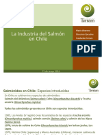 Industria Salmon Punta Arenas Mayo 2016