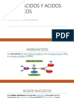 Aminoacidos y Acidos Nucleicos
