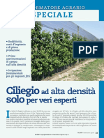 Speciale Ciliegio PDF