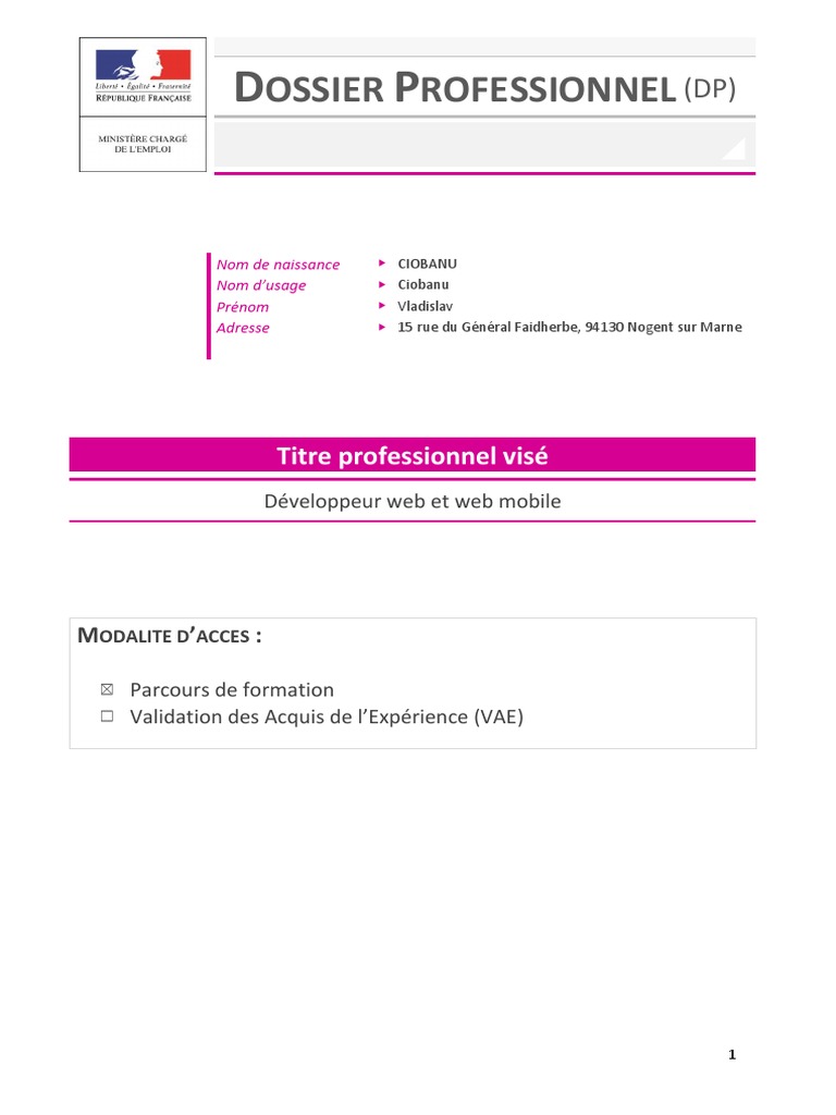 Dossier Professionnel AFPA CVI 08.12.2019  Modèle d'objet de document