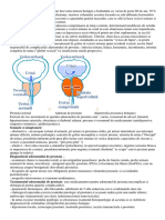 Adenomul de prostata.docx