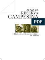 ZRC Elementos introductorios para el debate.pdf