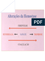 Hemostase PDF