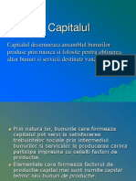 exgruia_capitalul.ppt