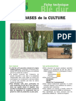 Les Bases Culture Blé Dur PDF