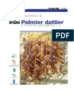Descripteur du palmier dattier ( livre ).pdf