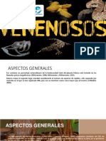 Reptiles venenosos de México