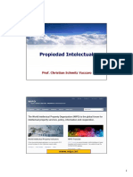 Propiedad Intelectual Resumido 2019 PDF