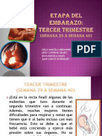 Etapa Del Embarazo Tercer Trimestre