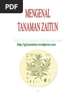 Download Mengenal Tanaman Zaitun by Griya Zaitun Group SN44163391 doc pdf