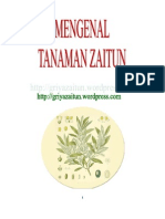 Download Mengenal Tanaman Zaitun by Griya Zaitun Group SN44163391 doc pdf