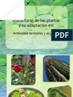 58512790-Adaptacion-de-las-plantas-al-ambiente.pdf