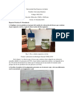 Fotosíntesis plantas C3 C4 CAM pigmentos
