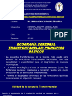 S13 Transfontanelar