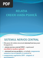 Relatia creier viata psihica.ppt