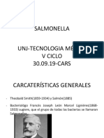 Salmonella Unj 30.09.2019-2