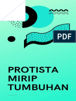 PROTISTA MIRIP TUMBUHAN