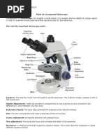 Parts of A Compound Microscope