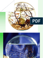 Eco Sphere