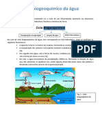 Ciclo Biogeoquímico Da Água