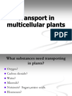 Transport in Multicellular Plants