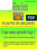 plantas-partes-ppt
