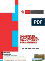 8. TASACION DE PLANTACIONES TRANSITORIAS Y PERMANENTES_RFELICES.pdf