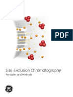 Size Exclusion Chortamography