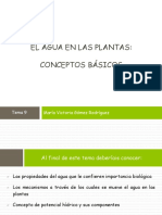 Alumnos El Agua en Las Plantas. Conceptos Basicos 2019