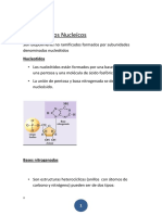 Acidos Nucleicos