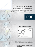 368798009-mimosa-hostilis-preparacion-DMT-pdf.pdf