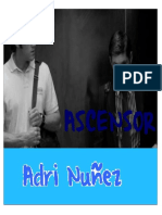 291195222-Adri-Nunez-Ascensor.pdf