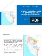 Cuencas Transfronterizas - Michael Pacherres