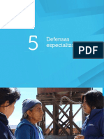 Defensa Especializada PDF