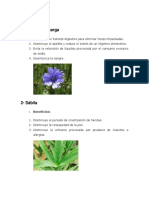 25 PLANTAS MEDICINALES.docx