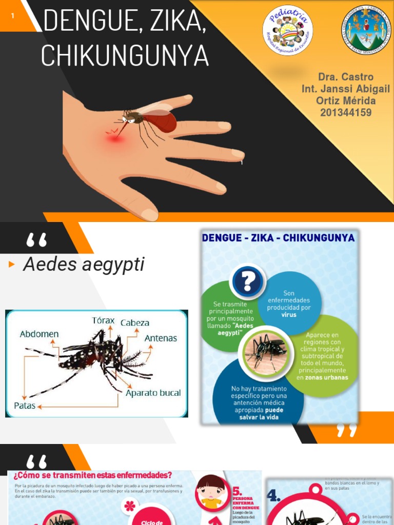 Dengue Zika Chikungunya | PDF | Fiebre del zika | Especialidades Medicas