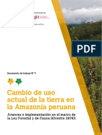 Cambio de Uso Actual de La Tierra en La Amazonia