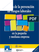 Gestion-de-la-prevencion-de-riesgos-laborales-en-la-pequena-y-mediana-empresa-FREELIBROS.ORG