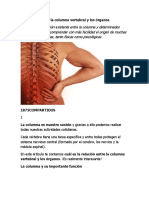 La relación entre la columna vertebral y los órganos.docx