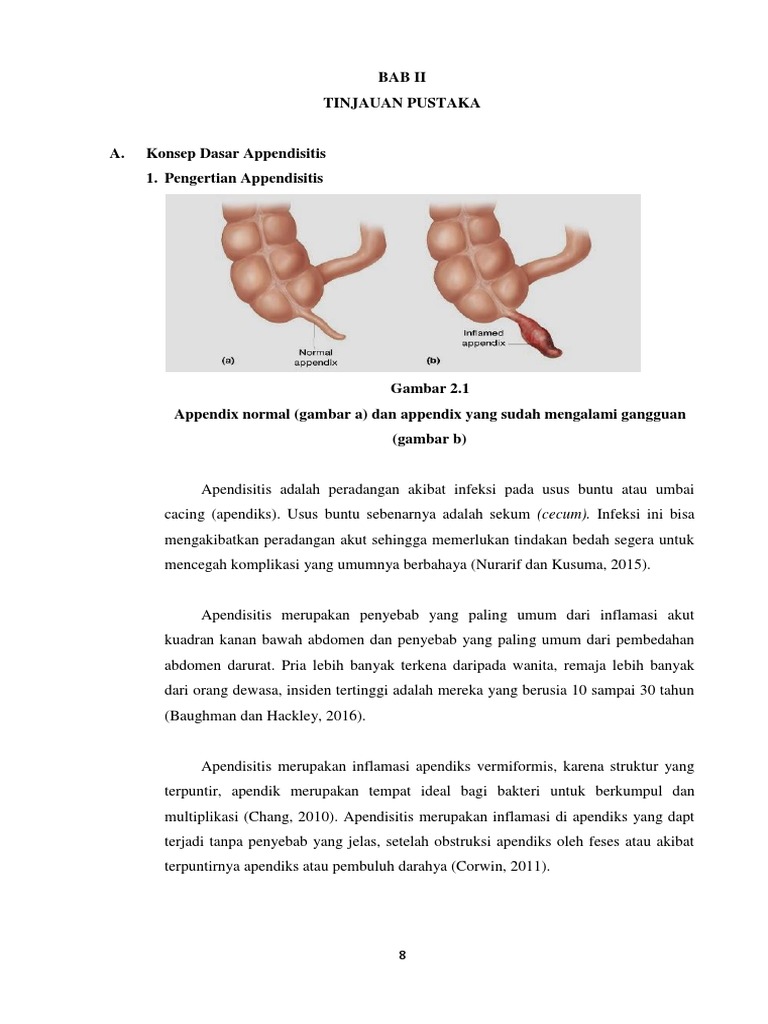 Bab Ii New Pdf