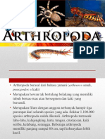 Arthropoda.pptx