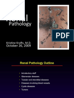 Renal Pathology Guide