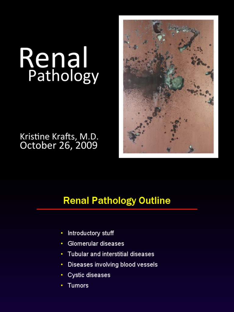 Renal 2 | PDF | Kidney Disease | Kidney