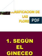 Clasificación de Las Flores - Estudiantes PDF