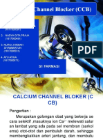 Calcium Channel Blockers