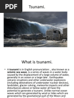 2004 Indian Ocean Tsunami Case Study | PDF | Tsunami | Earthquakes