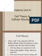 Anatomy Unit 4 Cell Theory